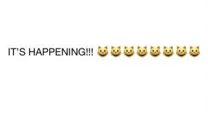 Screenshot of an Instagram post that says in all caps, "It's happening" with cat emojis